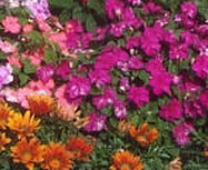 Highland Agricultural Tour