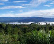 Parque Internacional de La Amistad