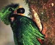 Sendero Los Quetzales